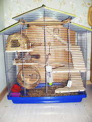 Клетка Клетка полностью оборудована, новая, с шиншиллой 4 мес. Нюша.